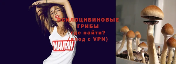 ГАЛЛЮЦИНОГЕННЫЕ ГРИБЫ Балабаново