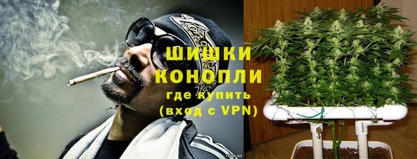 ГАЛЛЮЦИНОГЕННЫЕ ГРИБЫ Балабаново