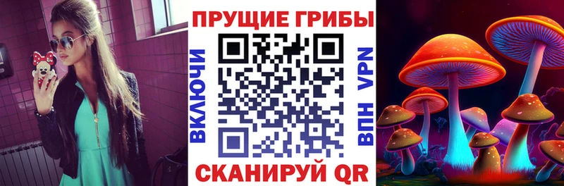 Псилоцибиновые грибы прущие грибы  что такое   Балтийск 